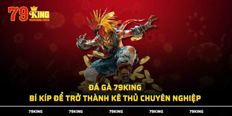 Đá Gà 79KING - Bí Kíp Để Trở Thành Kê Thủ Chuyên Nghiệp