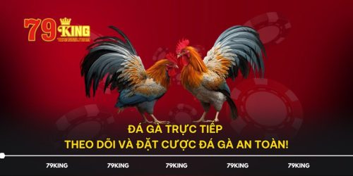 Đá Gà Trực Tiếp - Theo Dõi Và Đặt Cược Đá Gà An Toàn!