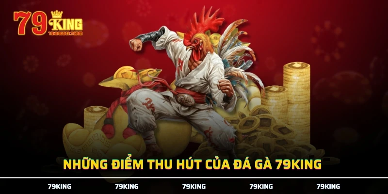 Những điểm thu hút của đá gà 79KING