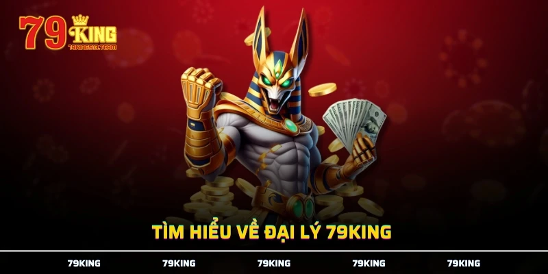 Tìm hiểu về đại lý 79KING