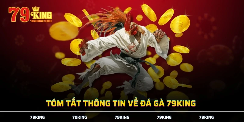 Tóm tắt thông tin về đá gà 79KING