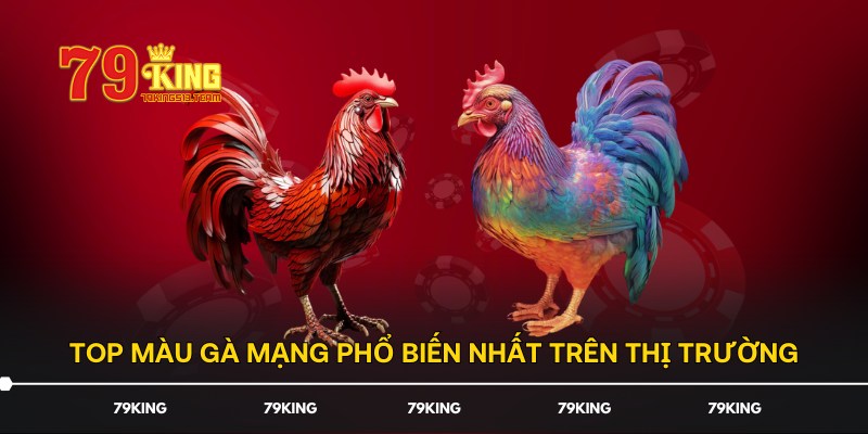 Top màu gà mạng phổ biến nhất trên thị trường